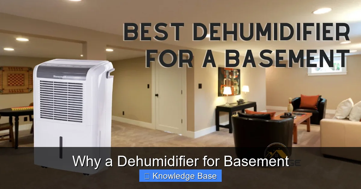Why a Dehumidifier for Basement
