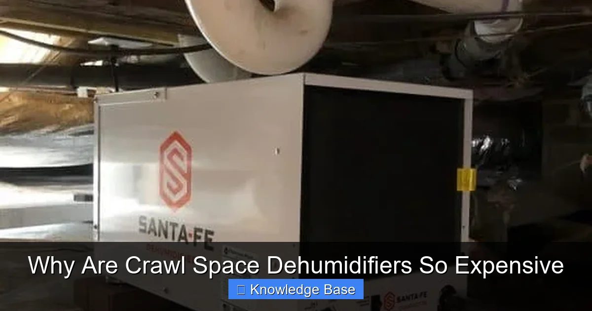 Why Are Crawl Space Dehumidifiers So Expensive