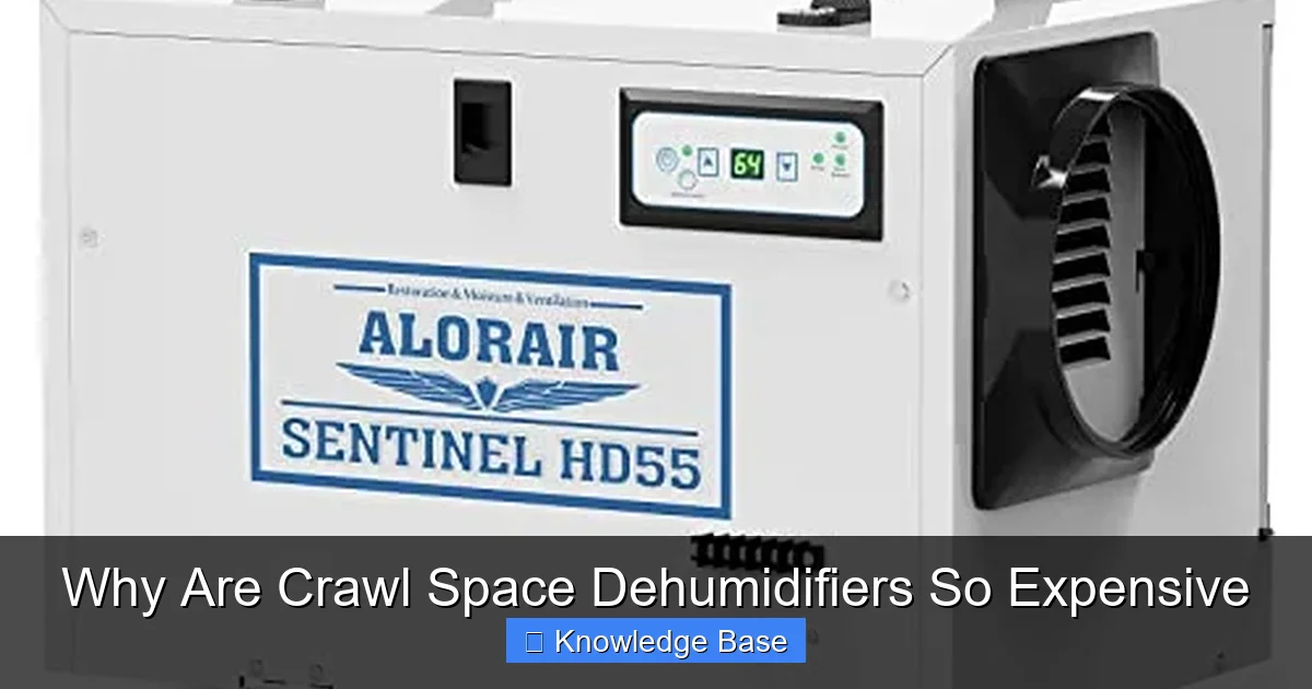 Why Are Crawl Space Dehumidifiers So Expensive