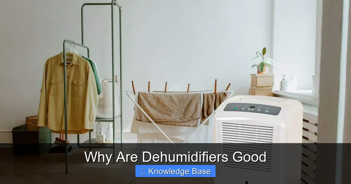 Why Are Dehumidifiers Good