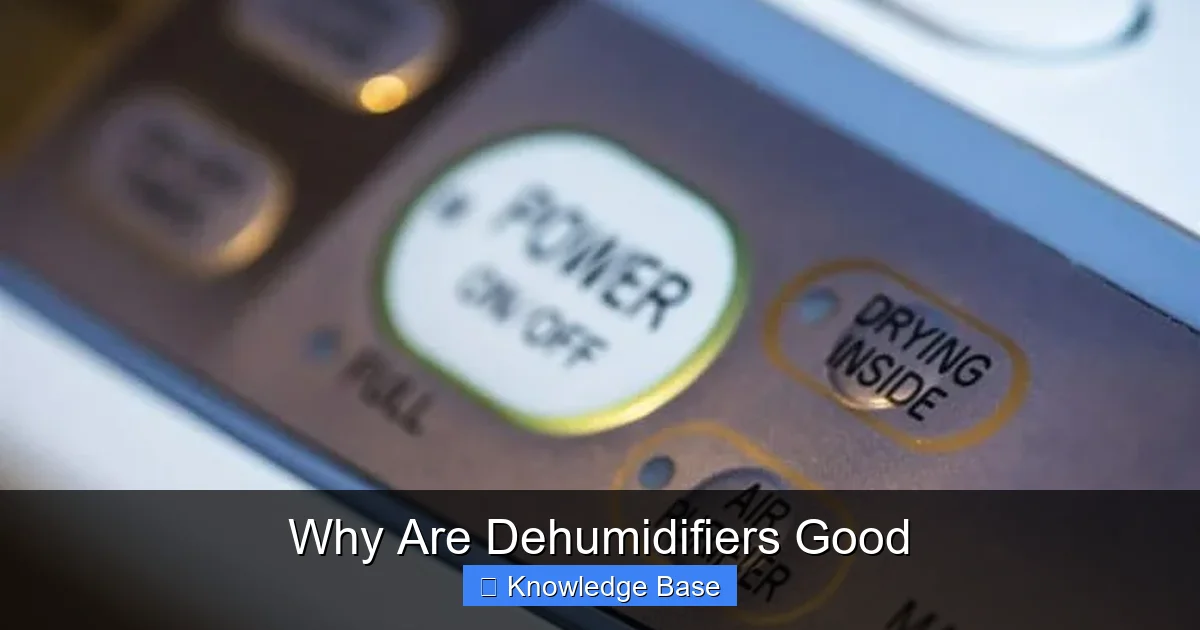 Why Are Dehumidifiers Good