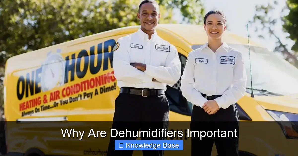 Why Are Dehumidifiers Important