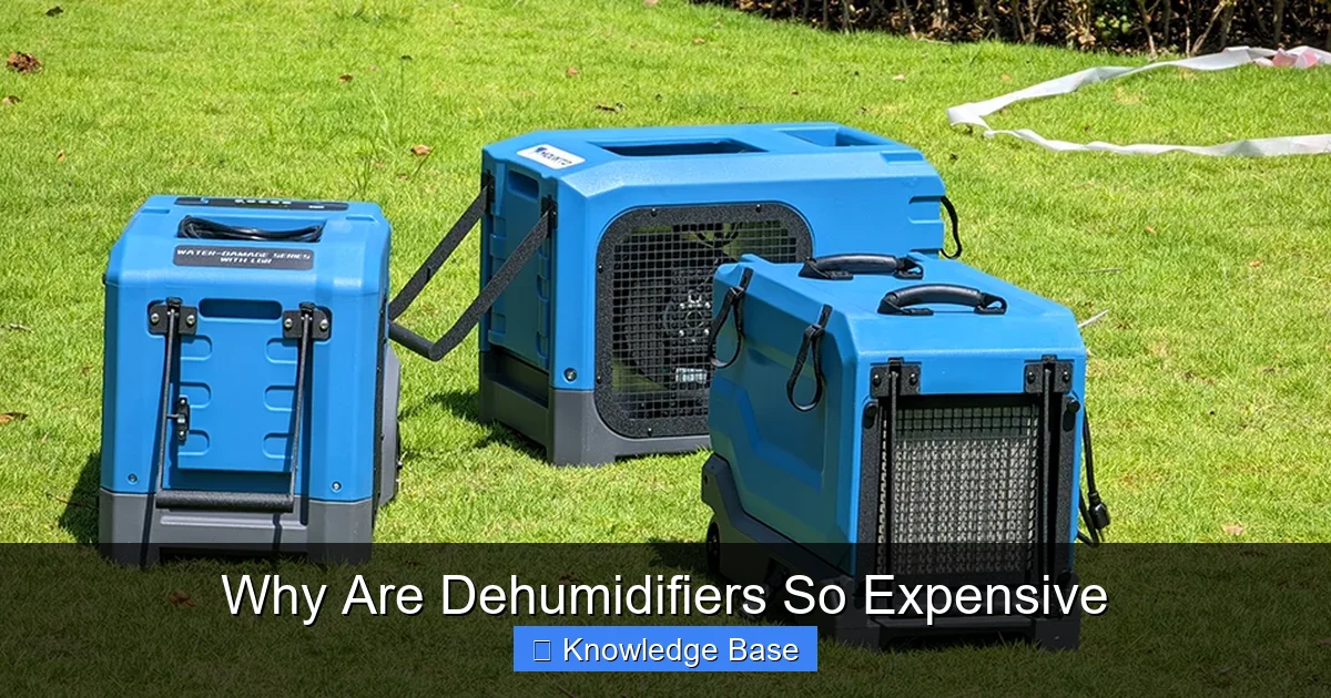 Why Are Dehumidifiers So Expensive