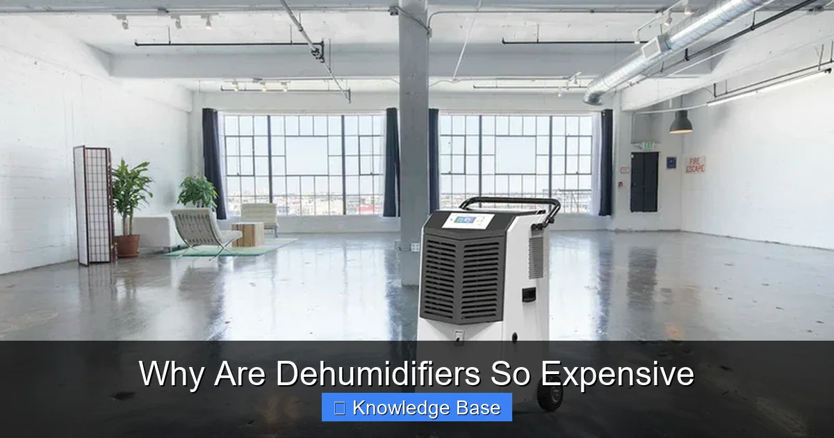 Why Are Dehumidifiers So Expensive