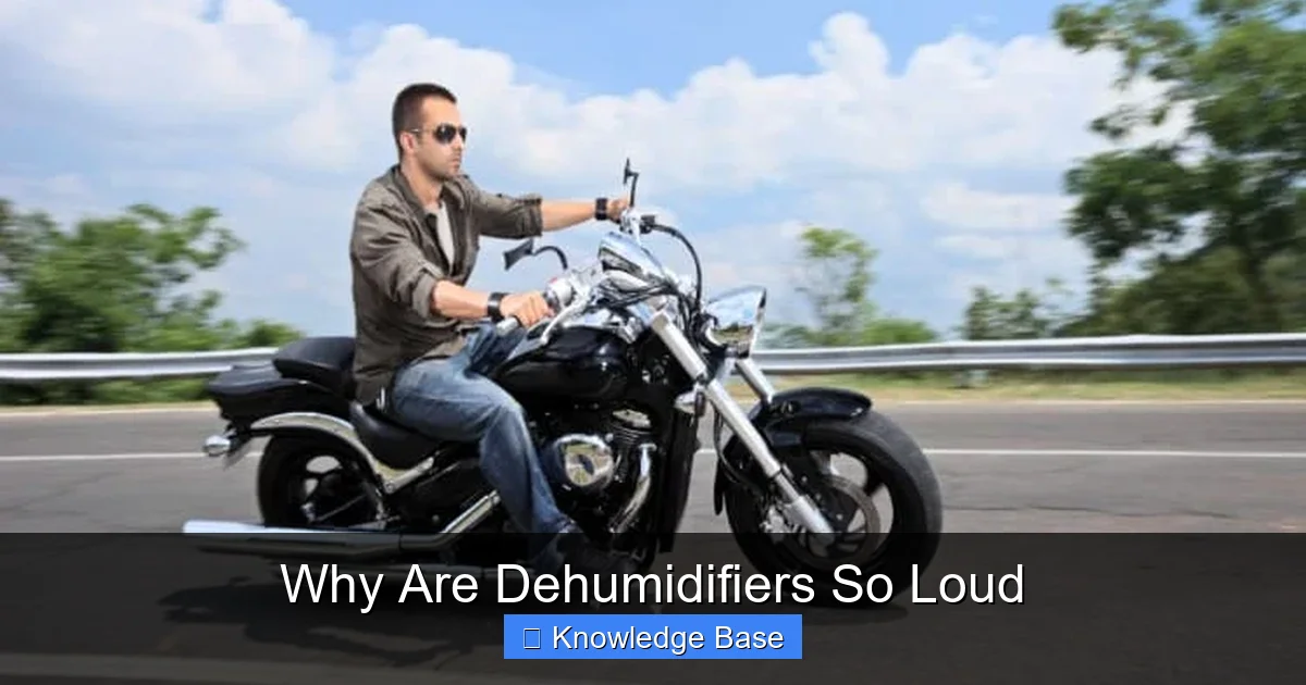 Why Are Dehumidifiers So Loud