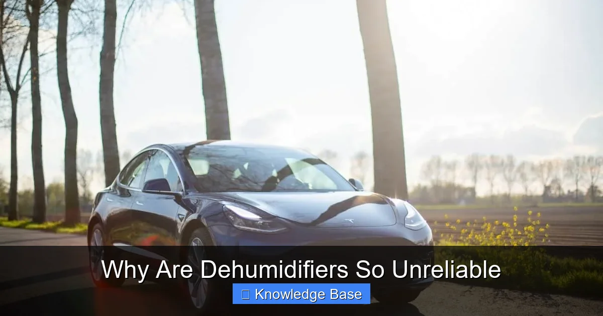 Why Are Dehumidifiers So Unreliable