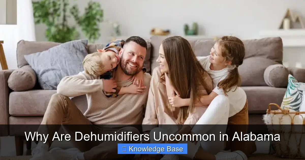 Why Are Dehumidifiers Uncommon in Alabama