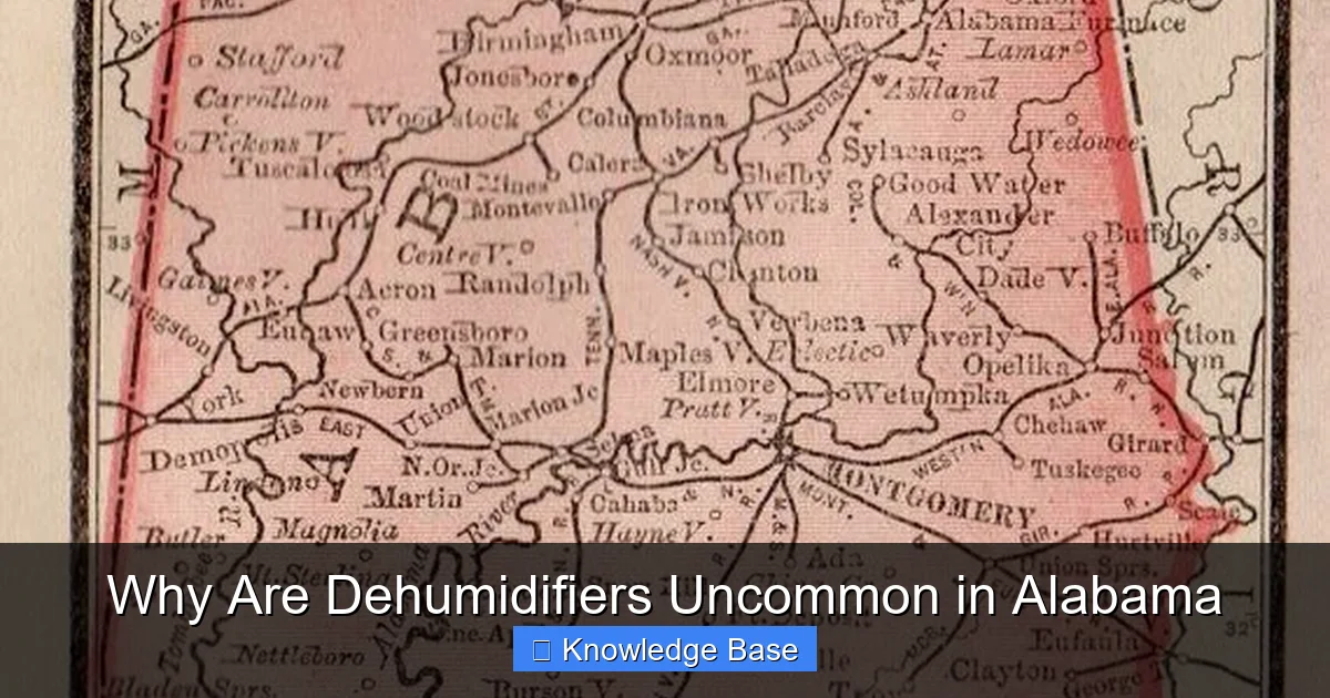 Why Are Dehumidifiers Uncommon in Alabama