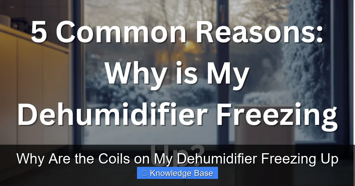 Why Are the Coils on My Dehumidifier Freezing Up