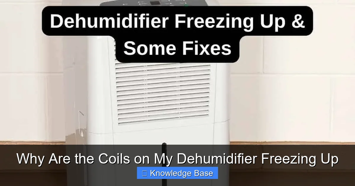 Why Are the Coils on My Dehumidifier Freezing Up