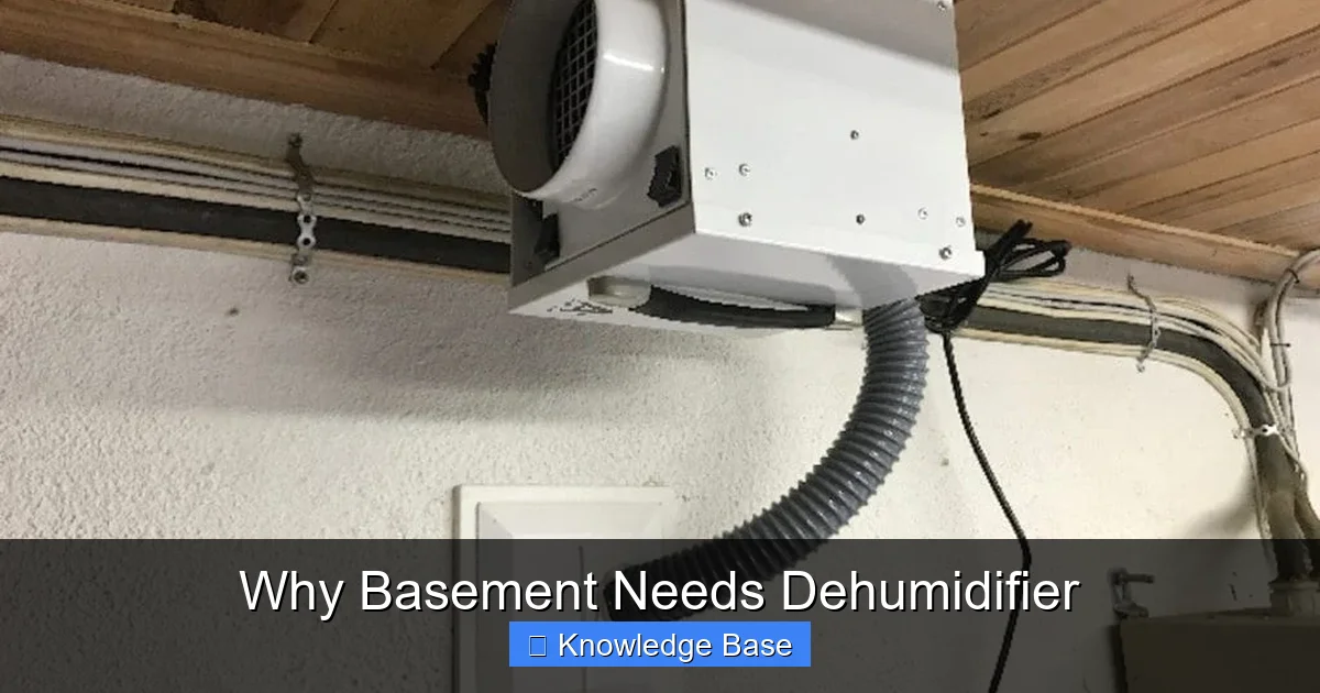 Why Basement Needs Dehumidifier