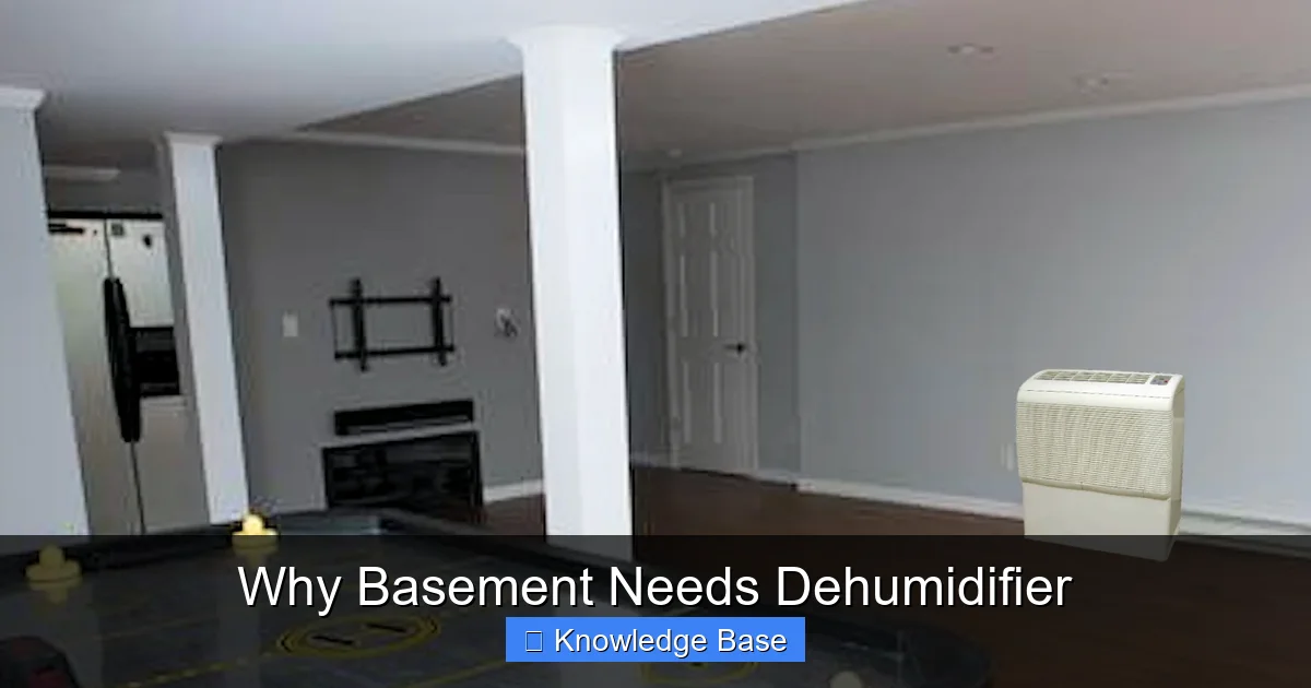 Why Basement Needs Dehumidifier
