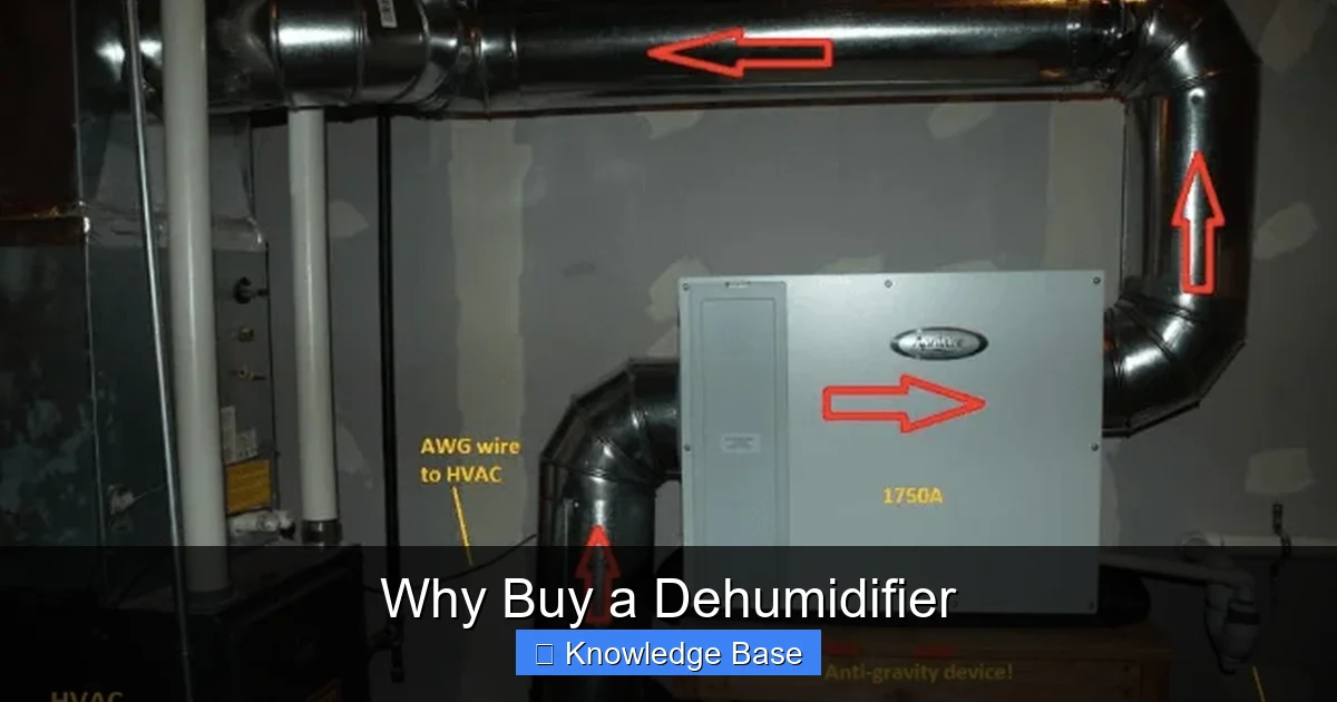 Why Buy a Dehumidifier