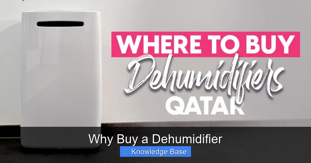 Why Buy a Dehumidifier
