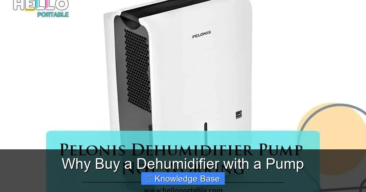 Why Buy a Dehumidifier with a Pump