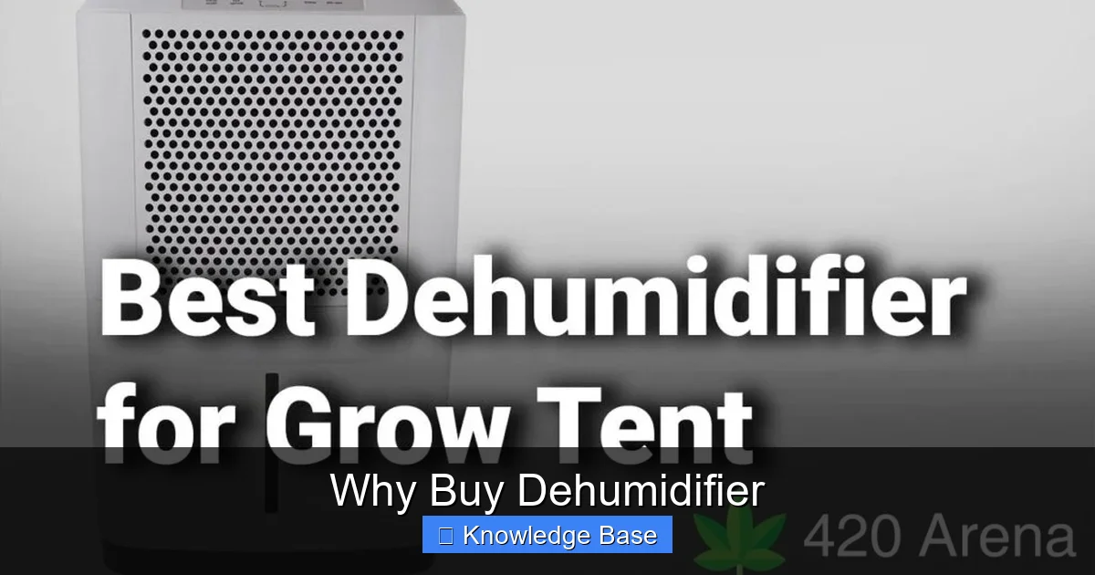 Why Buy Dehumidifier