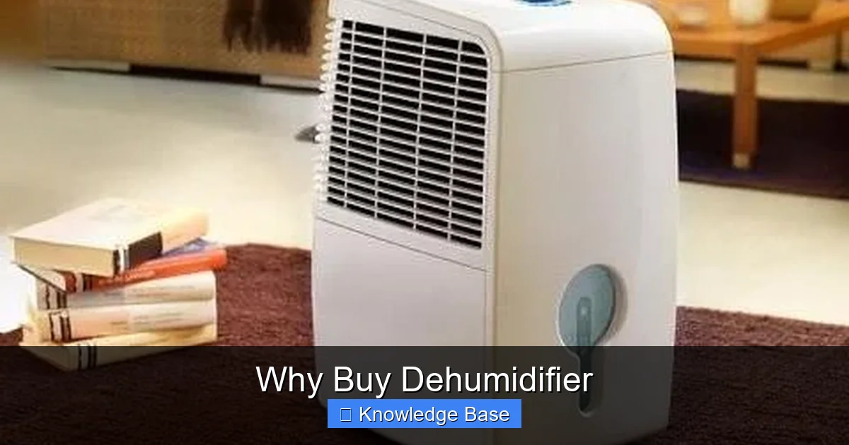 Why Buy Dehumidifier
