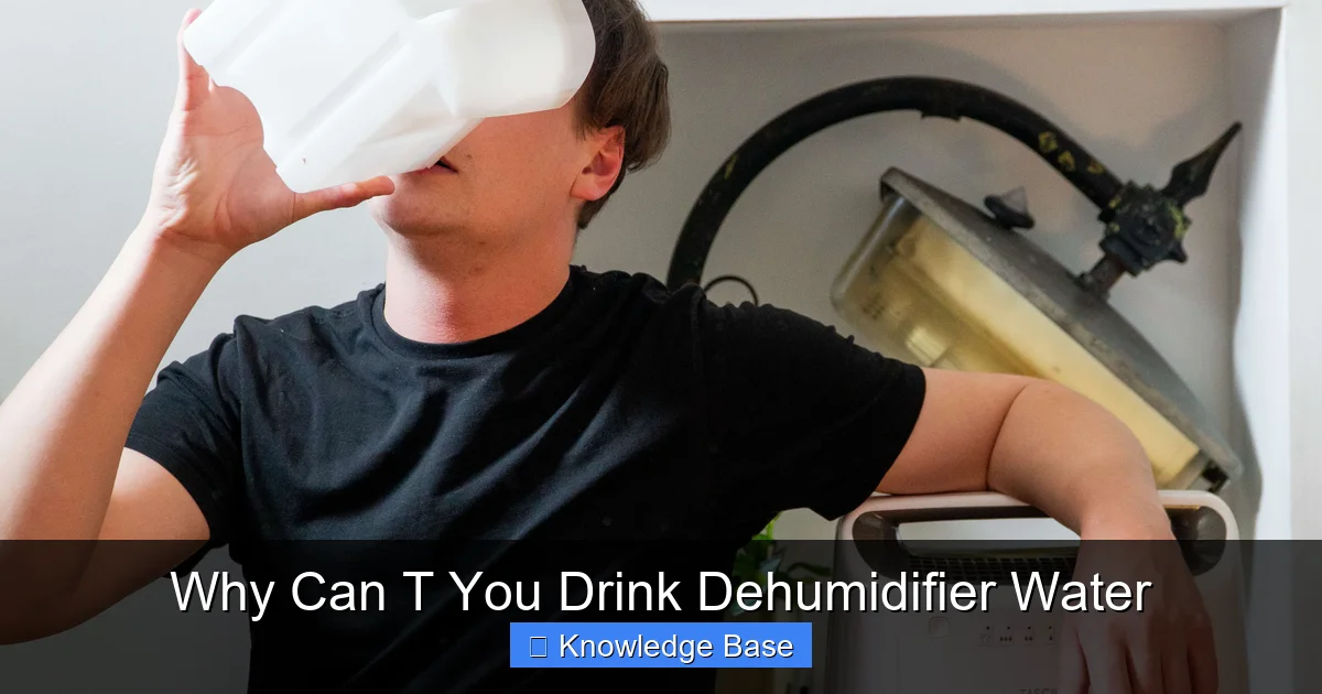 Why Can T You Drink Dehumidifier Water