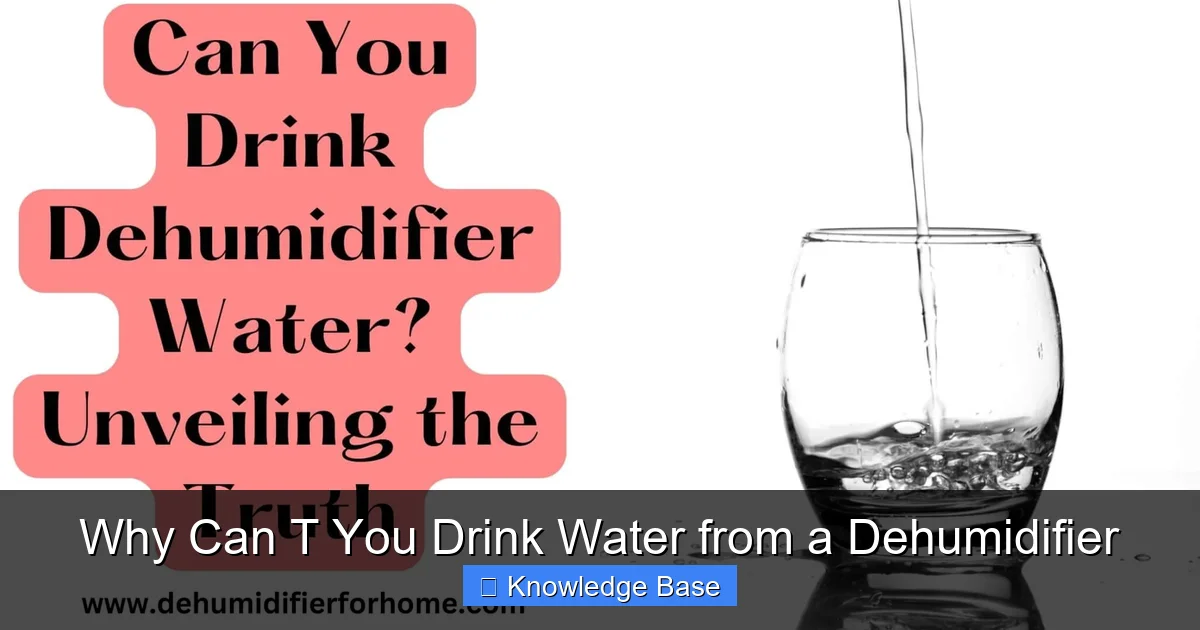 Why Can T You Drink Water from a Dehumidifier