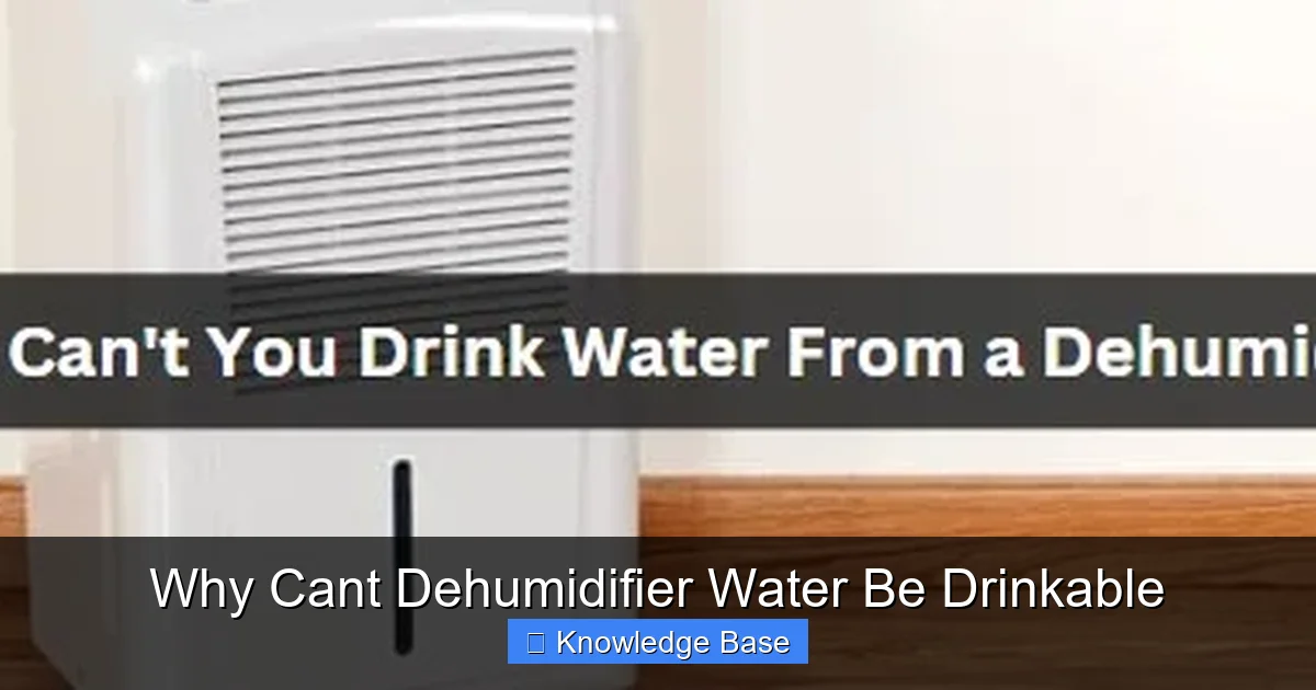 Why Cant Dehumidifier Water Be Drinkable
