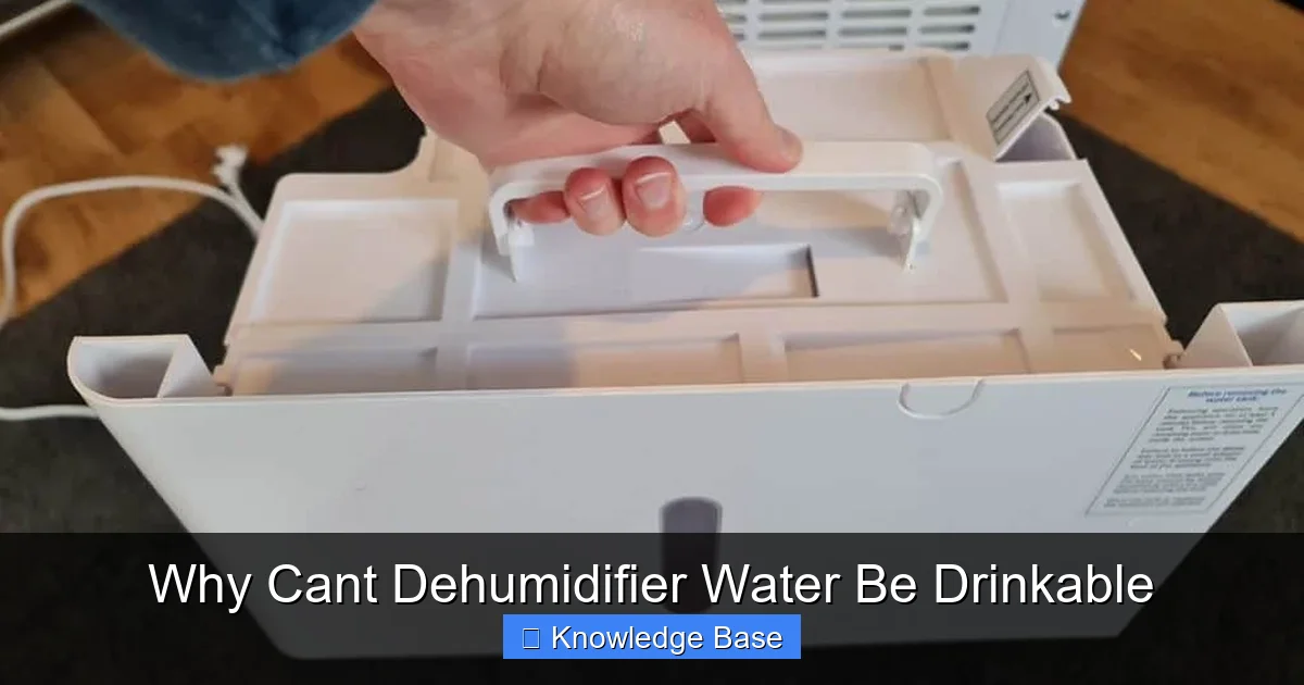 Why Cant Dehumidifier Water Be Drinkable