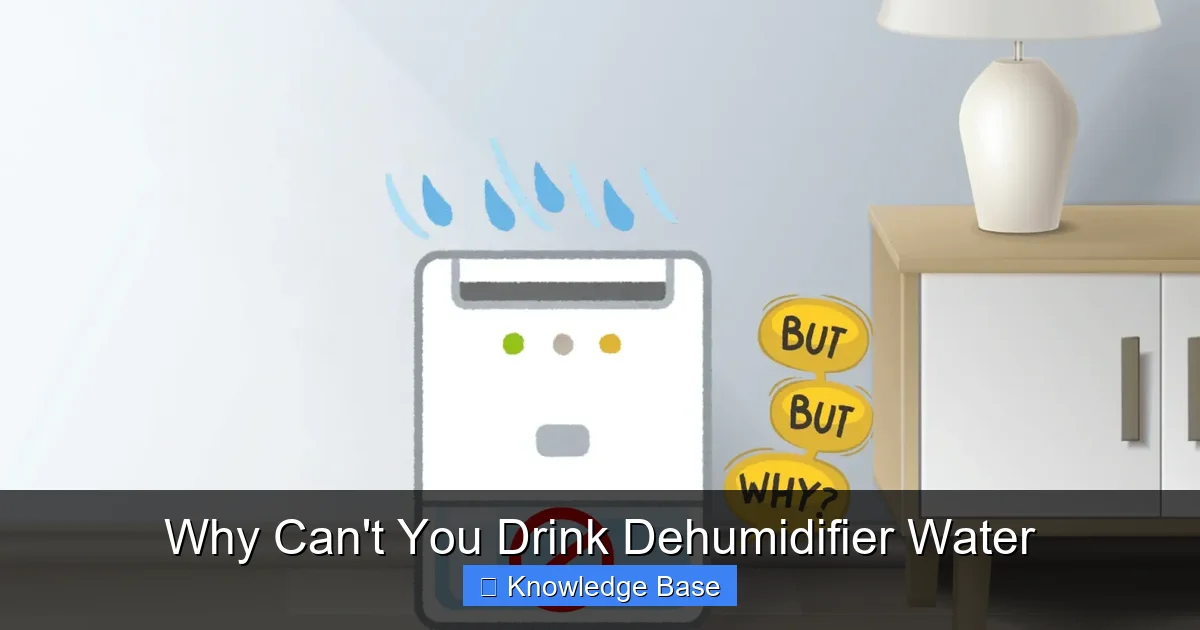 Why Can't You Drink Dehumidifier Water