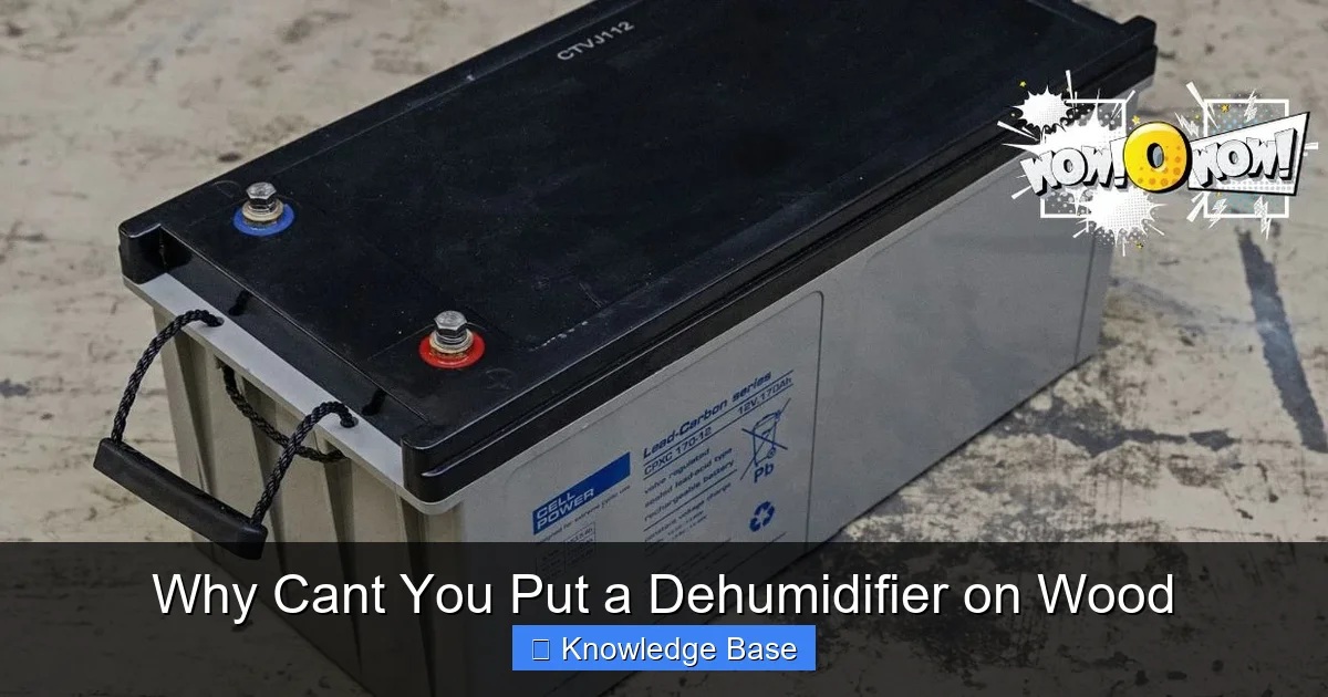 Why Cant You Put a Dehumidifier on Wood
