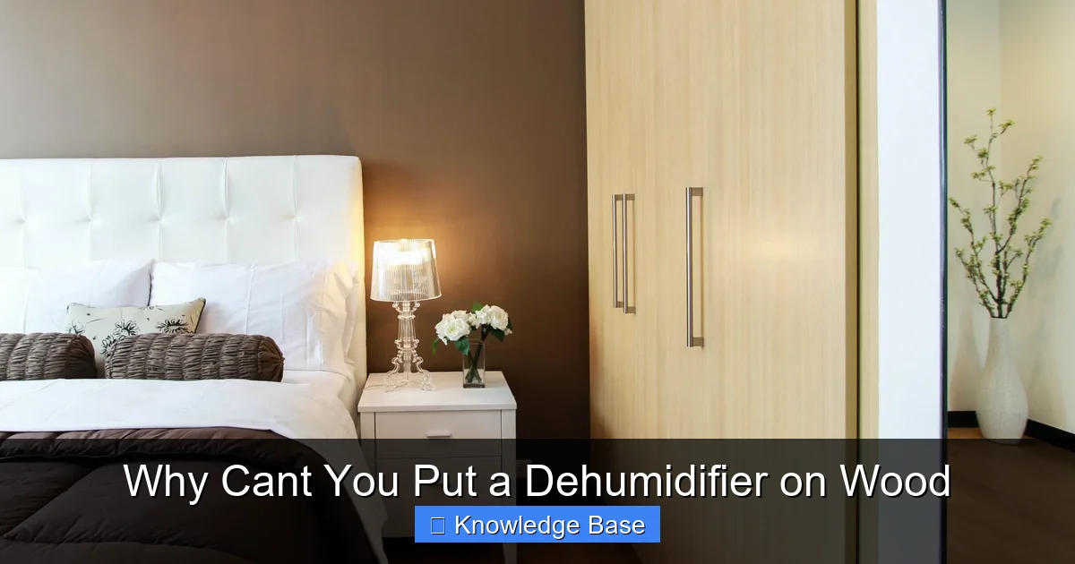 Why Cant You Put a Dehumidifier on Wood