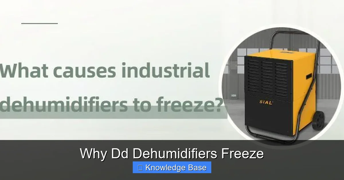 Why Dd Dehumidifiers Freeze