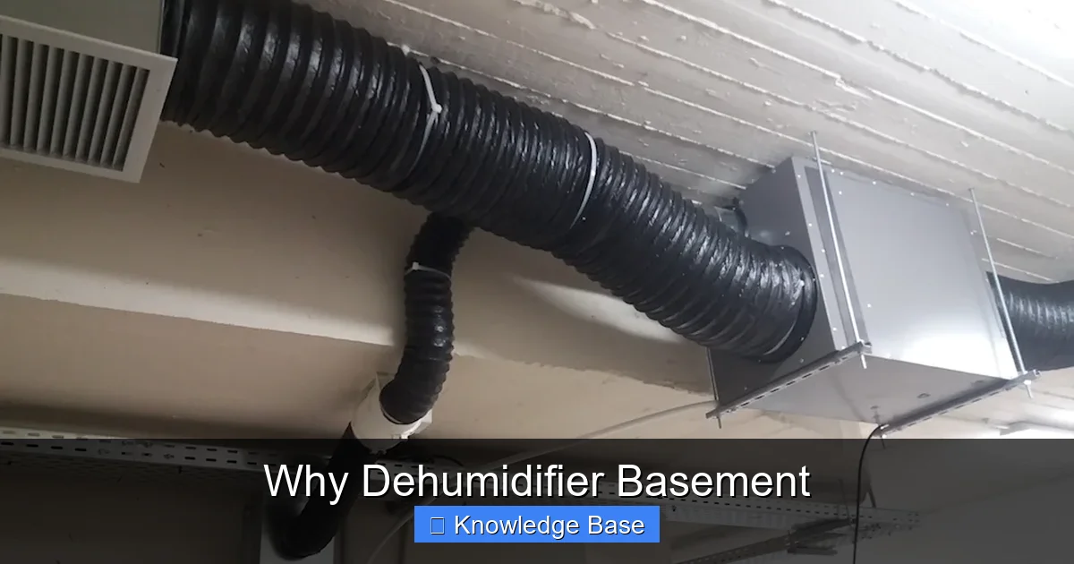 Why Dehumidifier Basement