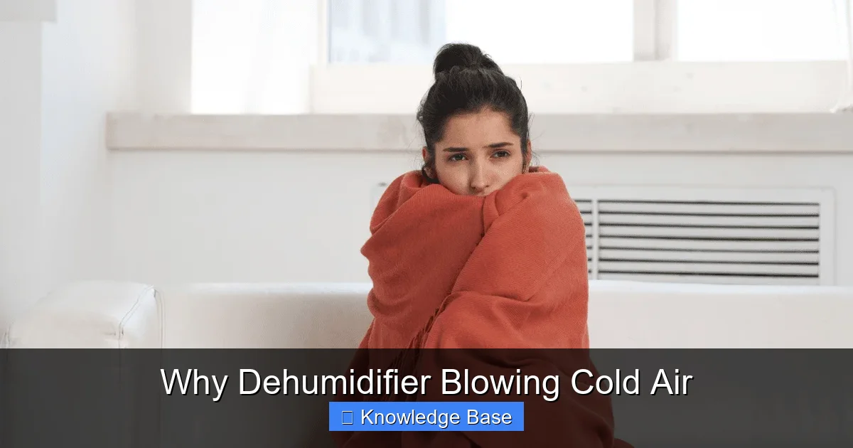 Why Dehumidifier Blowing Cold Air