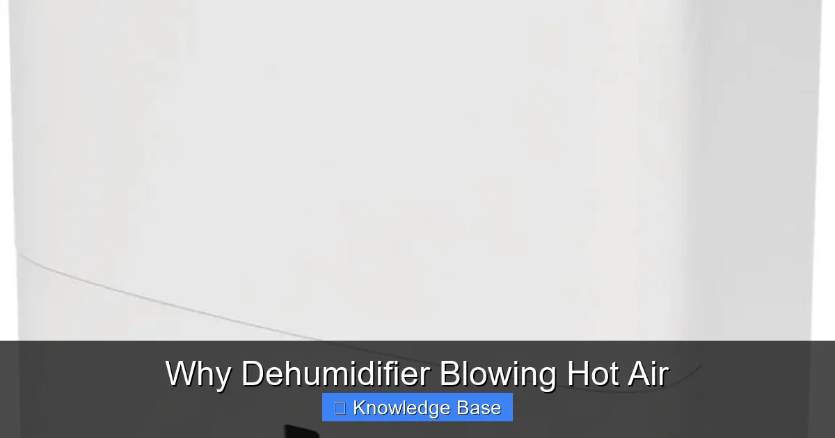 Why Dehumidifier Blowing Hot Air