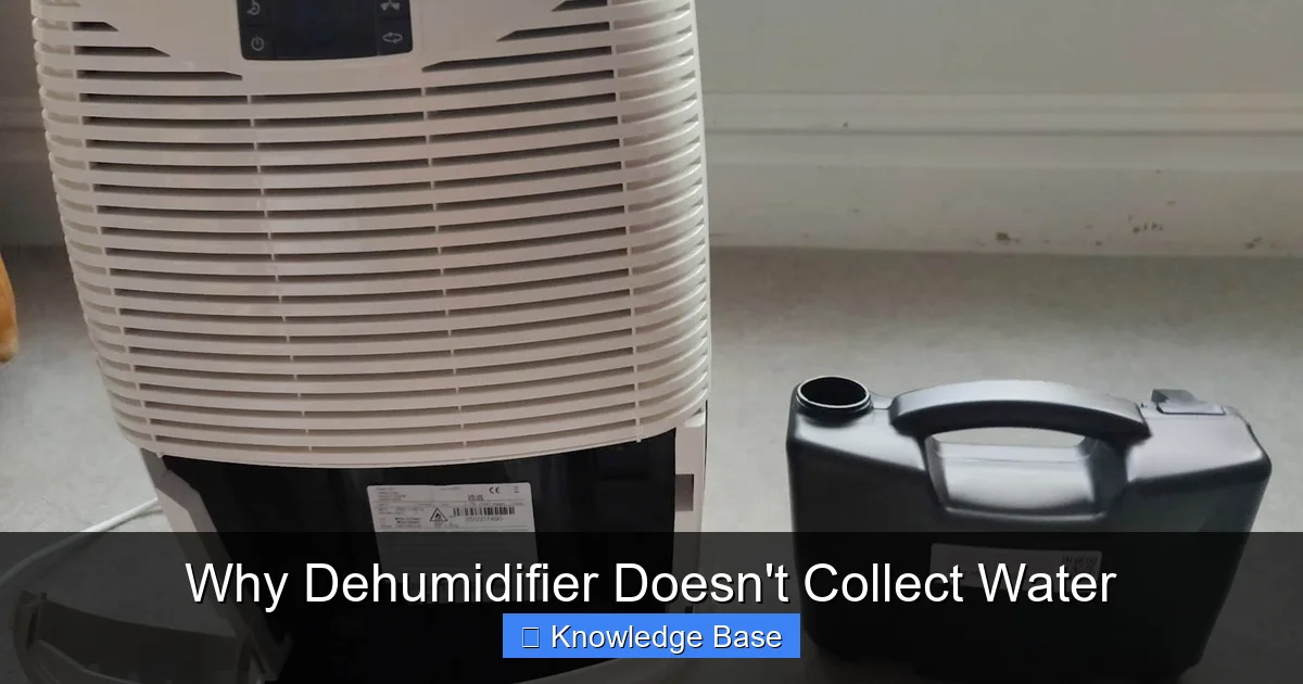 Why Dehumidifier Doesn't Collect Water