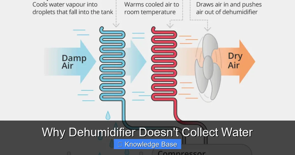 Why Dehumidifier Doesn't Collect Water