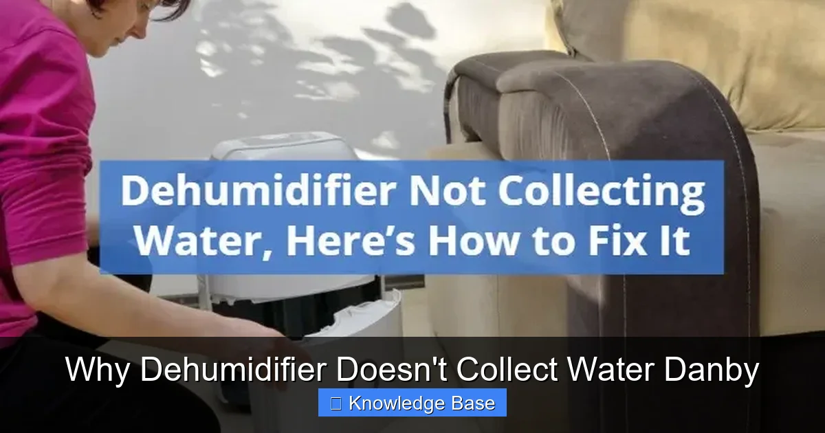 Why Dehumidifier Doesn't Collect Water Danby