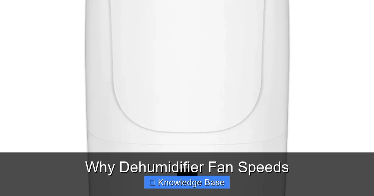 Why Dehumidifier Fan Speeds