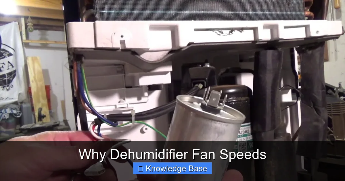 Why Dehumidifier Fan Speeds