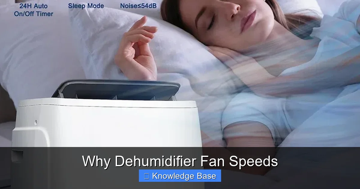 Why Dehumidifier Fan Speeds