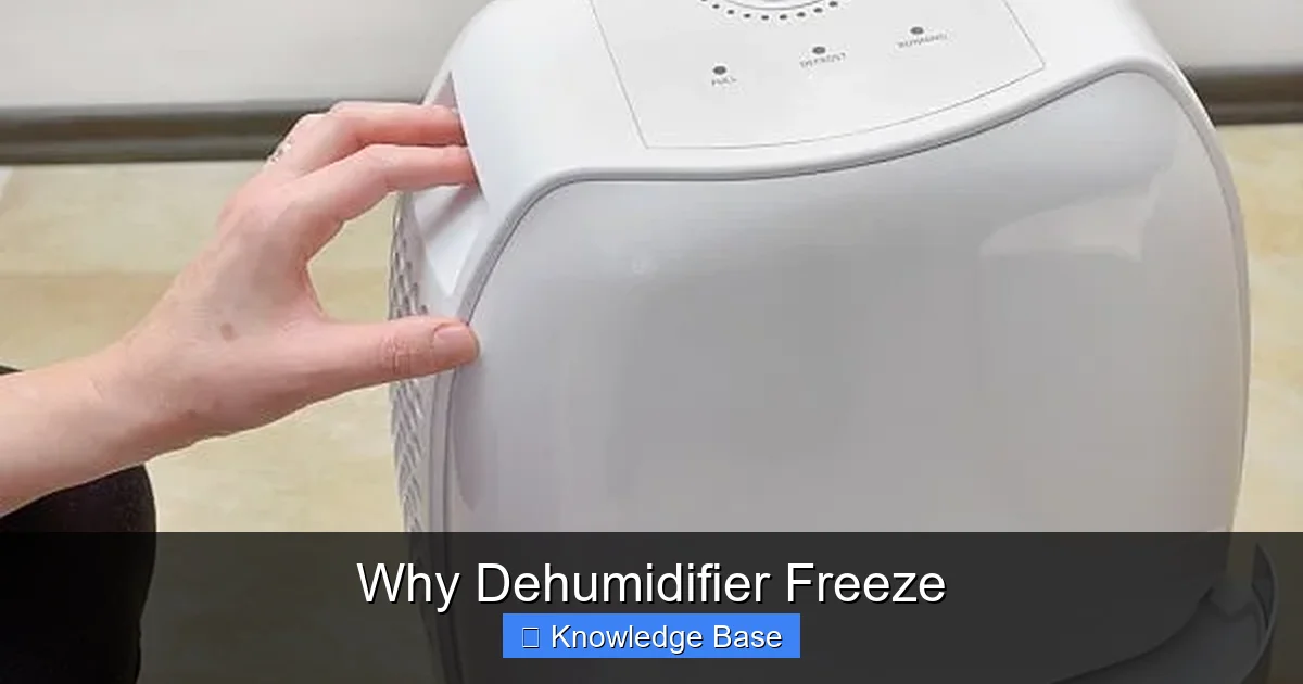Why Dehumidifier Freeze