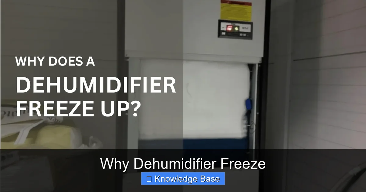 Why Dehumidifier Freeze