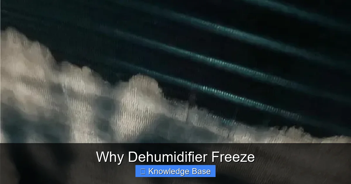 Why Dehumidifier Freeze