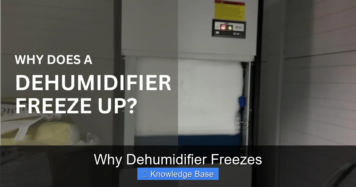 Why Dehumidifier Freezes