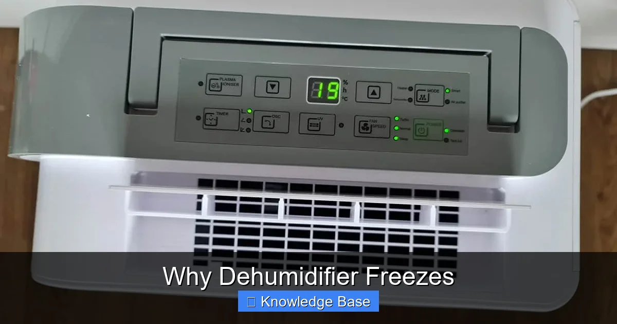 Why Dehumidifier Freezes