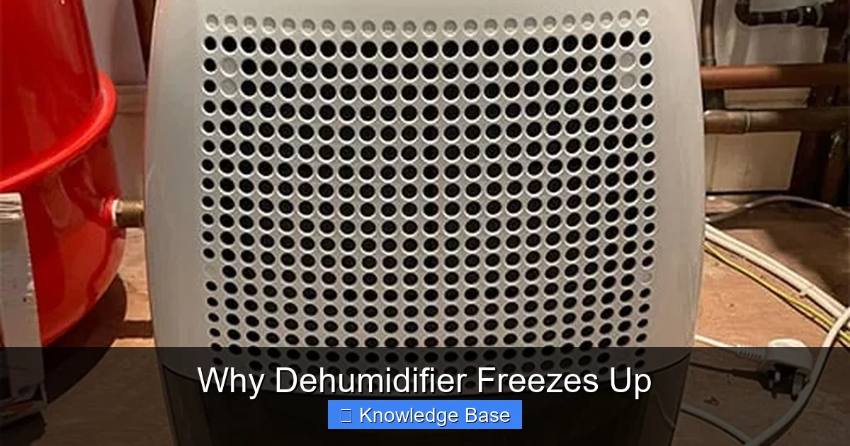 Why Dehumidifier Freezes Up