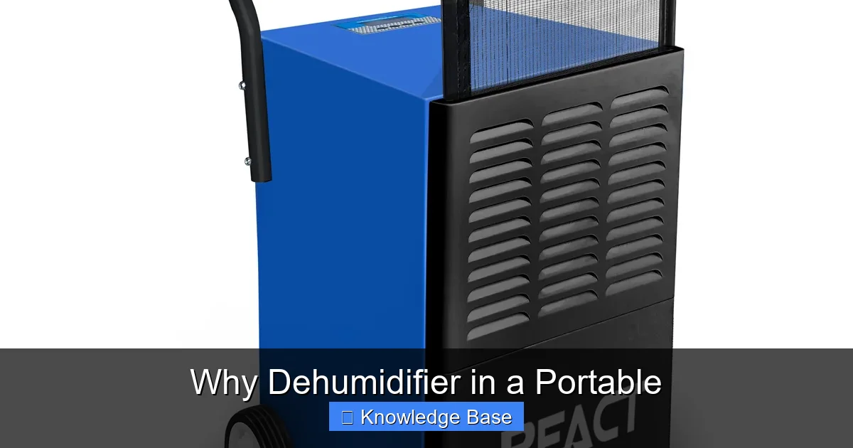 Why Dehumidifier in a Portable