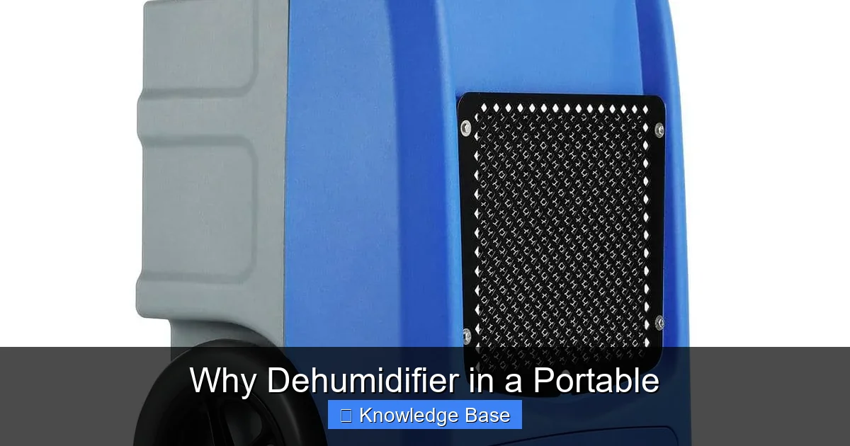 Why Dehumidifier in a Portable