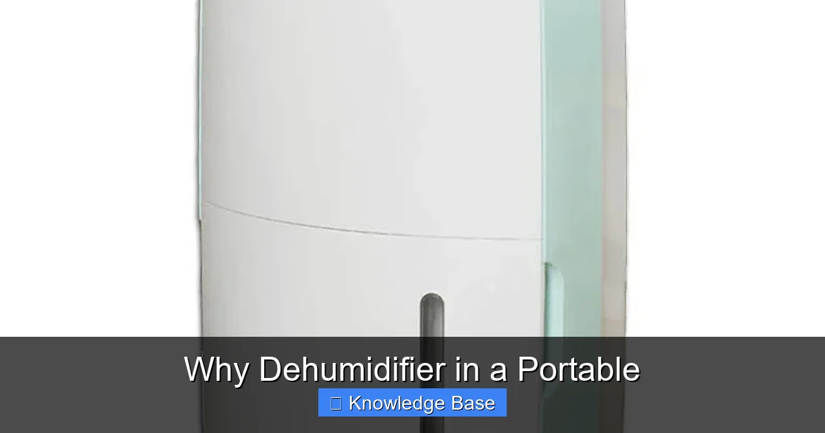 Why Dehumidifier in a Portable