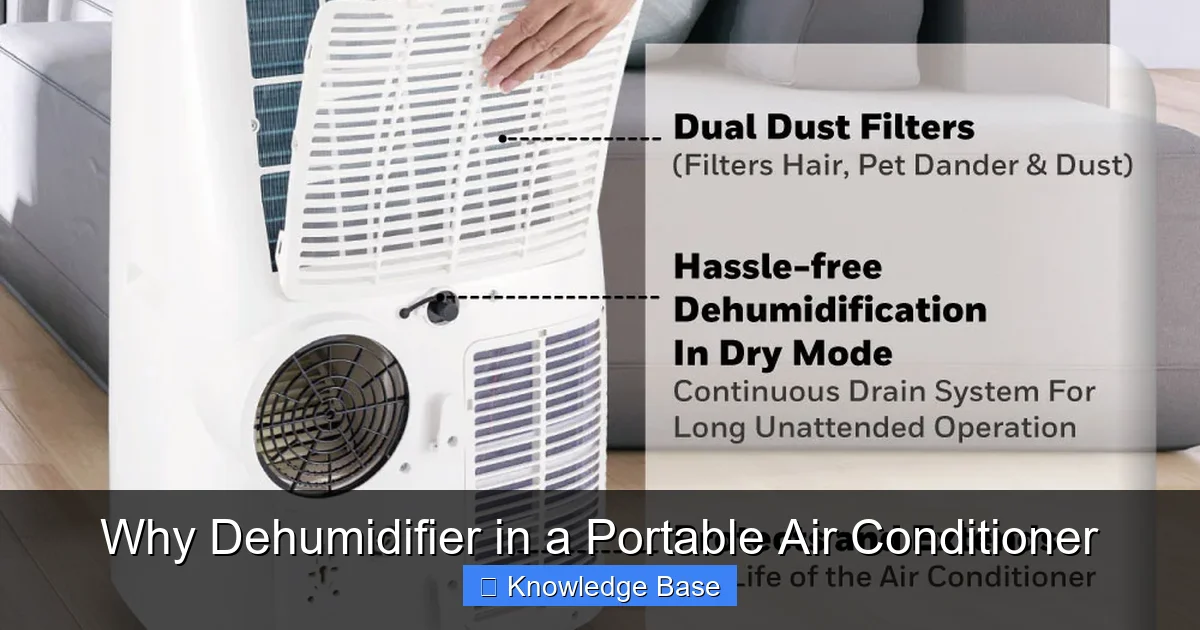 Why Dehumidifier in a Portable Air Conditioner