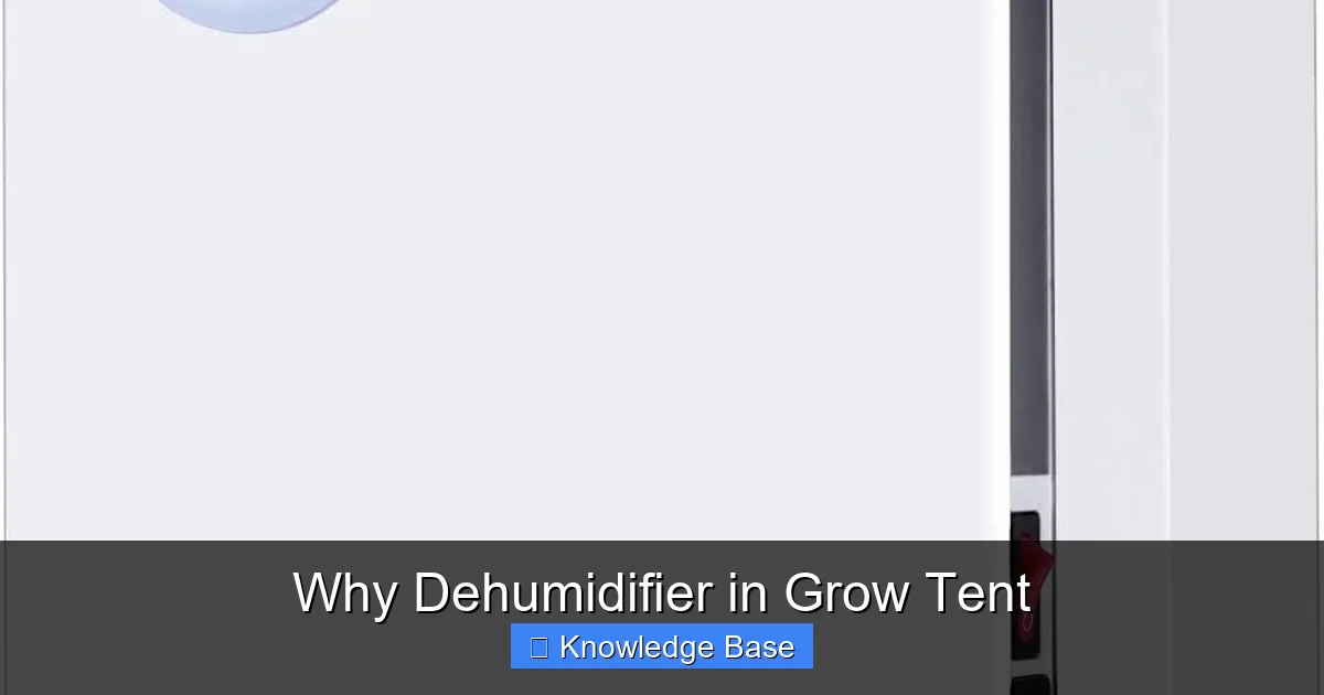 Why Dehumidifier in Grow Tent