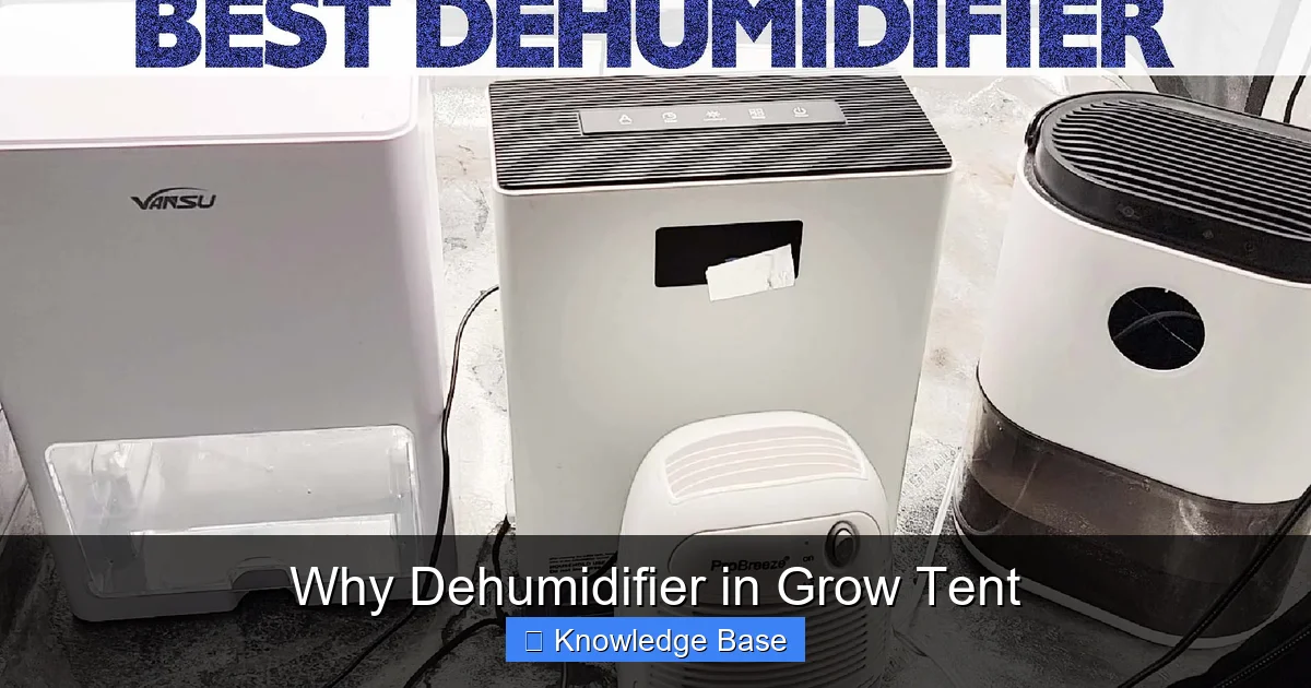 Why Dehumidifier in Grow Tent